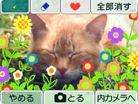 News Nintendo annonce la DSi en images !