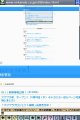 Nintendo DS Browser