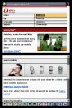 Nintendo DS Browser