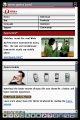 Nintendo DS Browser