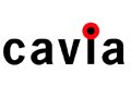 Cavia disparaît dans AQ Interactive-画像