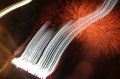 IDEF 2008 : notre reportage business
