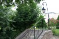 JA TV : l'�mission 102 au Jardin Rodin
