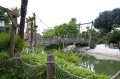 JA TV : l'�mission 103 � Disneyland