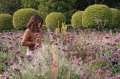 JA TV : l'�mission 110 au Parc de Sceaux