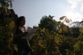 JA TV : l'�mission 111 dans les vignes de Montmartre