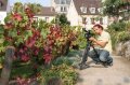 JA TV : l'�mission 111 dans les vignes de Montmartre