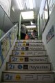 TGS 2006 : le bilan