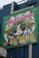 TGS 2006 : le bilan