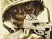 55 millions de Call of Duty vendus !
