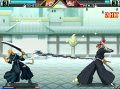 Bleach arrive en Europe sur DS et Wii