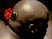 Steam : un succ�s historique !