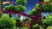 Rocket Knight - Trailer #02