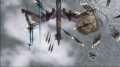 1942 Joint Strike : une envol�e d'images