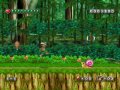 Adventure Island Wii : une date jap'