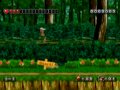 Adventure Island Wii : une date jap'