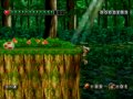 Adventure Island Wii : une date jap'
