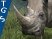 TGS > Afrika : un safari d'images