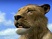 Afrika traverse l'océan en images