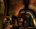 Age of Conan : Hyborian Adventures