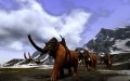 Age of Conan : Hyborian Adventures