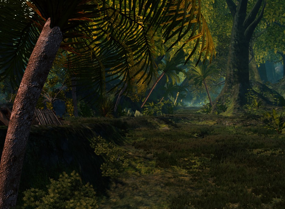 Age of Conan : Hyborian Adventures