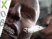 X06 > Alone in the Dark 5