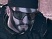Alpha Protocol repouss� � l'automne