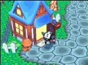 Animal Crossing