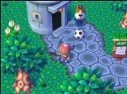 Animal Crossing
