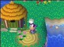 Animal Crossing