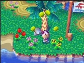 Animal Crossing