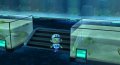 E3 08 > Animal Crossing d�barque sur Wii