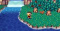 Des images pour Animal Crossing Wii