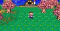 Des images pour Animal Crossing Wii