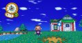 Des images pour Animal Crossing Wii