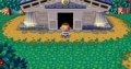 Des images pour Animal Crossing Wii