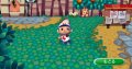 Des images pour Animal Crossing Wii