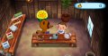 Des images pour Animal Crossing Wii