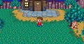 Des images pour Animal Crossing Wii