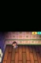 Animal Crossing : Wild World