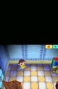 Animal Crossing : Wild World