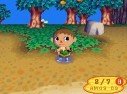 Animal Crossing : Wild World