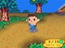 Animal Crossing : Wild World