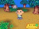 Animal Crossing : Wild World