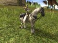 Archlord : le plein d'images