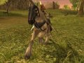 Archlord : le plein d'images