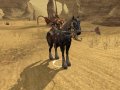 Archlord : le plein d'images