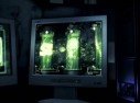 Area 51