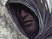 Assassin's Creed 2 : premi�re vid�o